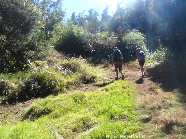 Le sentier coupe parfois la piste