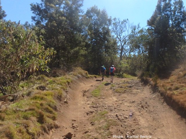 La piste a été usée par l'extraction des bois incendiés
