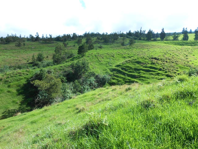 Des kilomètres de prairies avec ou sans troupeaux