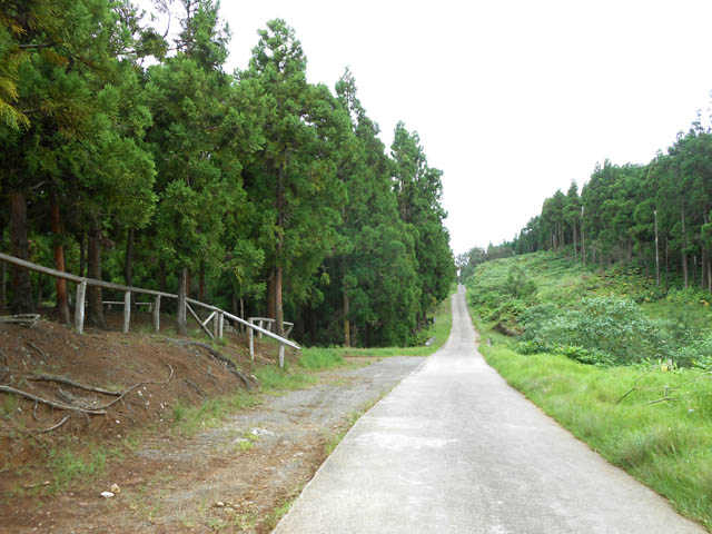 La Route Vaudeville en direction de la Ravine Simambry