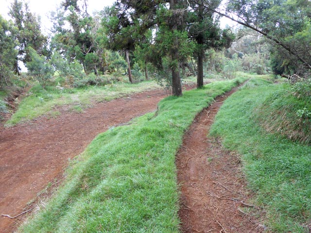 La piste Simambry et le sentier VTT à quelques mètres