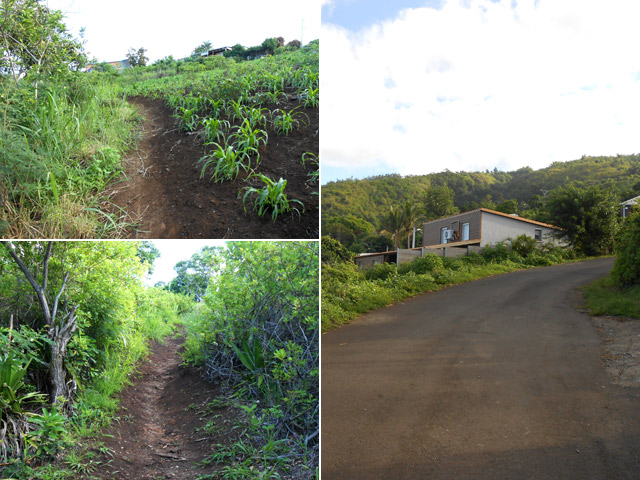le sentier et l'arrivée à Bras Mouton