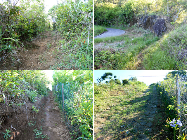 Quelques portions du sentier qui rejoint Bras Mouton à Notre Dame des Champs