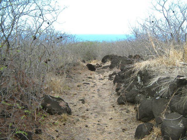 Portion aride bordée de roches et épineux vers la Route des Tamarins