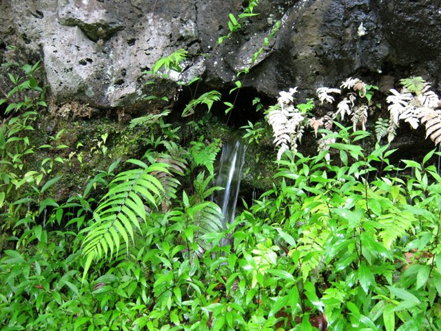 La source, fin des difficultés. Eau fraîche et potable