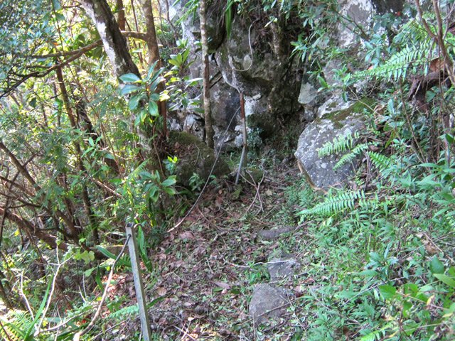 Quelques câbles d'acier comme garde-fou