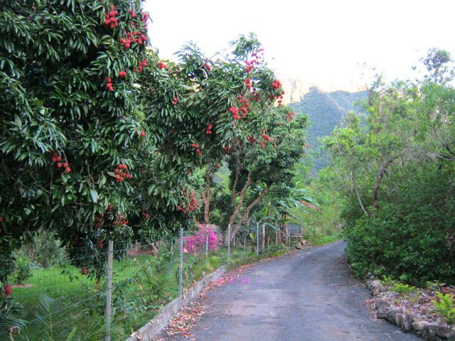 Le début de la petite route qui mène directement à Grand Galet