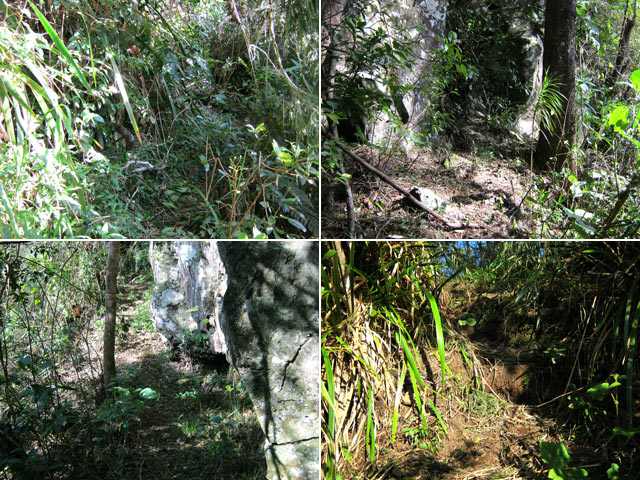Quelques portions du sentier qui monte à Grand Coude