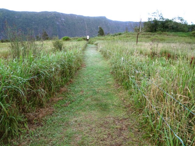 La piste herbeuse rejoignant le rempart