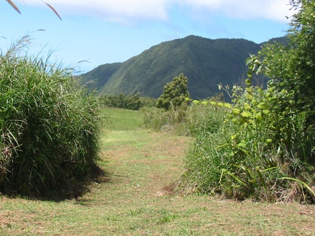 Longer le rempart vers le sentier de l'Îlet Dimitile