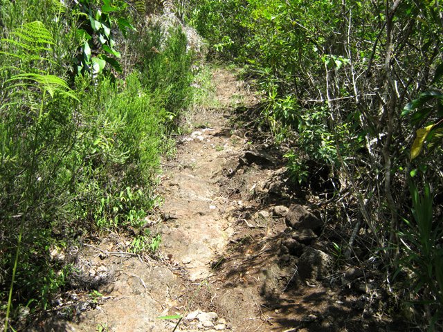 Une des rares portion assez plate du sentier