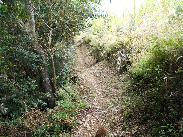 Le sentier longe le rempart au plus près des cannes