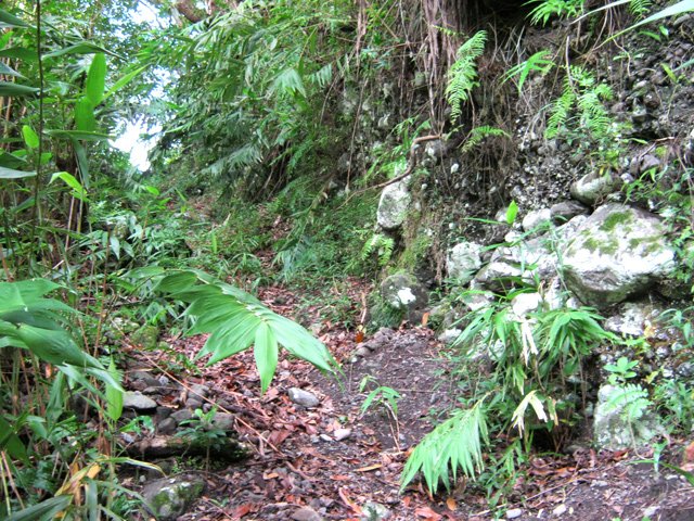 Par temps de fortes pluies, les roches ont tendance à glisser