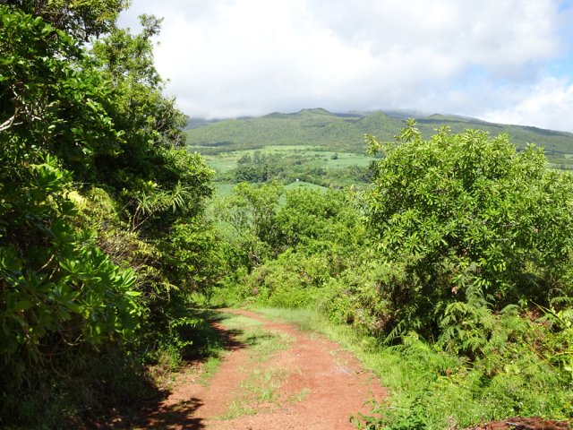 La piste de terre rouge contournant le piton