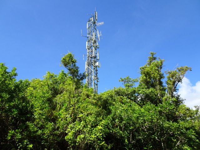 L'antenne occupant le sommet