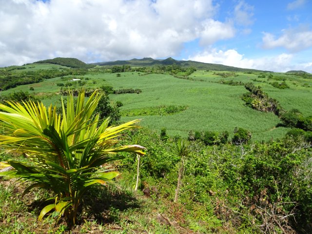 Magnifiques points de vue et panoramas depuis le belvédère