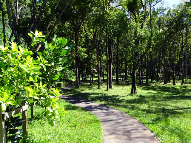 Une longue piste bétonnée peut accueillir les fauteuils roulants
