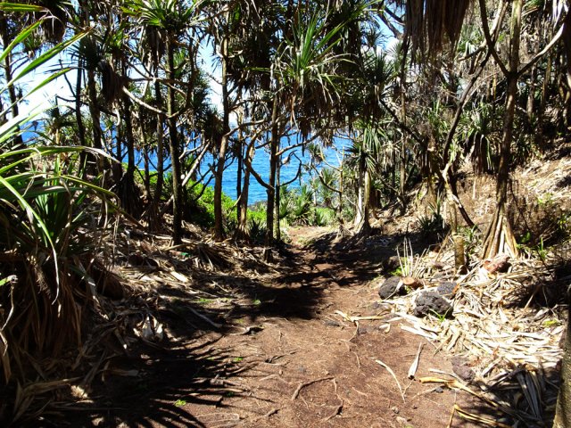 Le sentier littoral en direction de Sainte-Rose