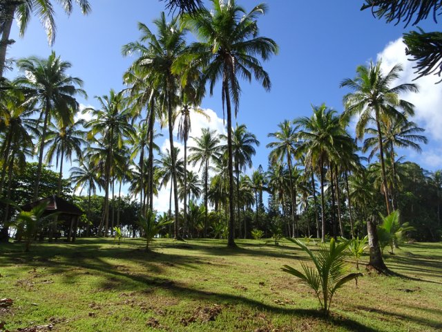Arrivée à l'aire de pique-nique de Bois Blanc