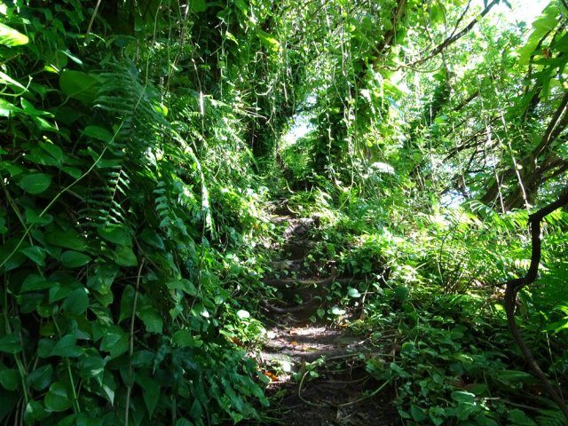 Remontée du rempart en direction de l'Anse des Cascades