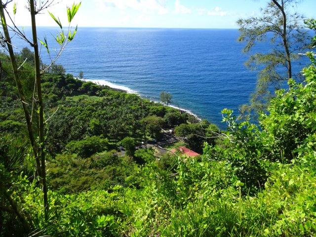 Points de vue fréquents sur l'Anse des Cascades