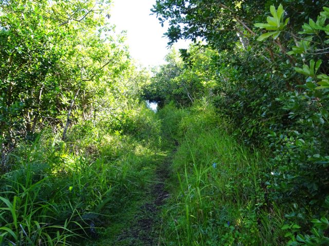 L'étroit sentier montant au discret sommet