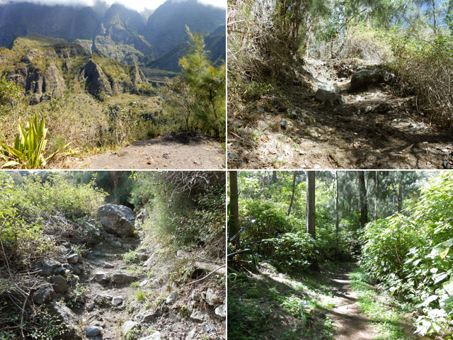 Quelques portions du sentier qui rejoint l'Îlet à Cordes au Bras de Saint-Paul