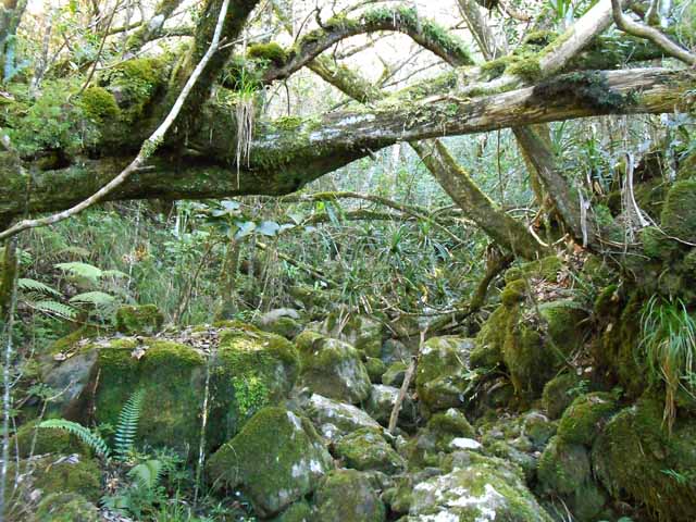 On franchit deux magnifiques ravines si on suit le tracé violet de la carte