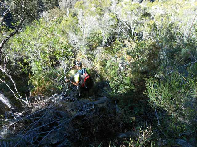 La photo ne donne pas la véritable impression de plongée du sentier du tapcal