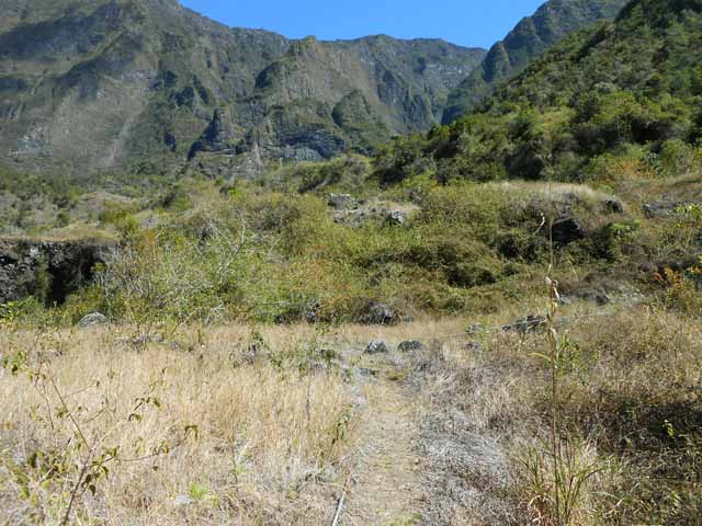 La montée à l'Îlet de Grand Coude dans les galaberts avant d'arriver dans les champs de lentilles