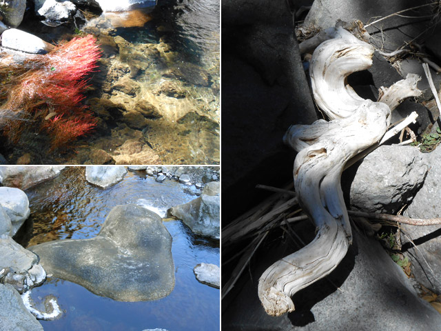 Racines de filaos. Rocher en forme de coeur ou bois flottés entre autres curiosités à découvrir