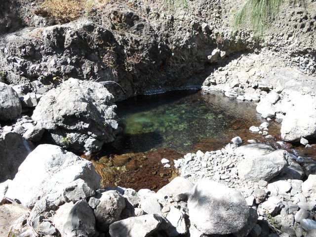 Plusieurs bassins d'eau claire invitent à la baignade