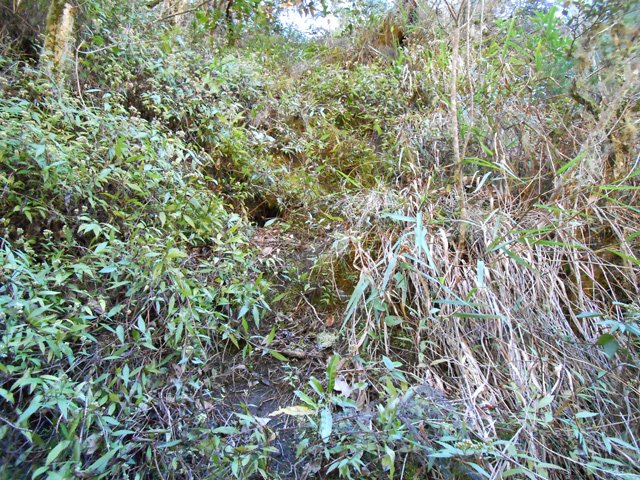 Une portion ancienne faite de marches