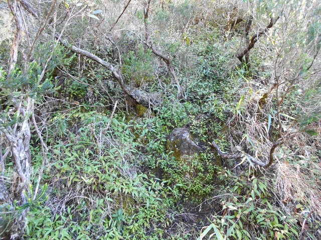 Il n'est pas très large mais ne se perd jamais de vue