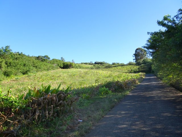 Le Chemin du Versant, étroit et en montée constante