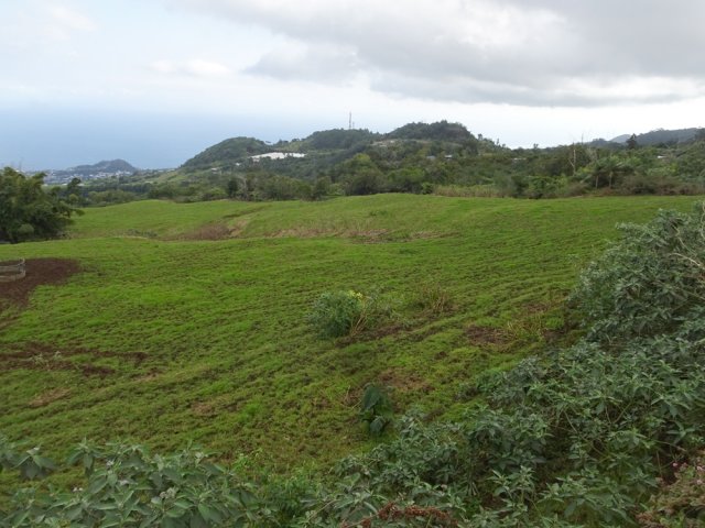 Les prairies bordant le Chemin de la Forêt