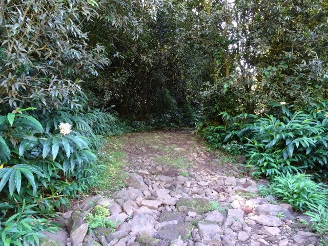 Franchissement du gué sur le Grand Bras Rouge