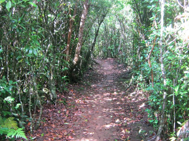 La terre est collante et glissante sur un sentier large et facile