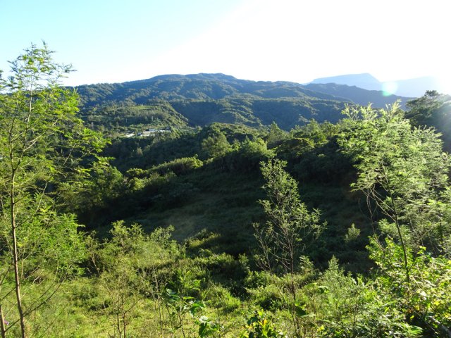 Une idée du relief et de la végétation de la région