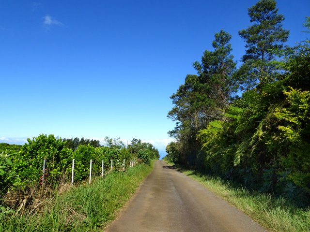 Le chemin de la Forêt qui remonte au sentier des Margosiers