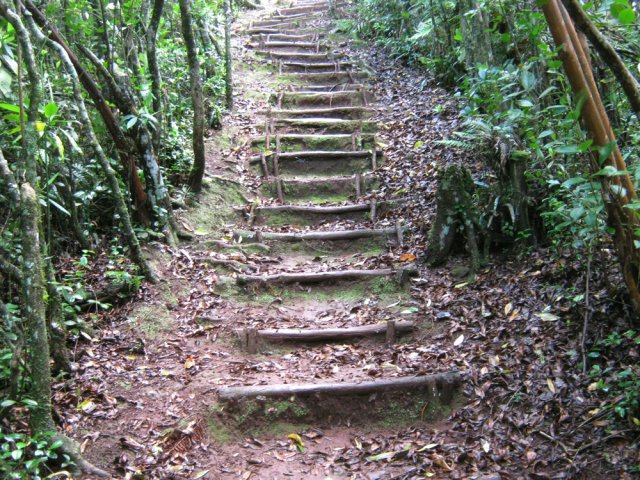 Plusieurs pentes très fortes pour rejoindre le sentier de la Cascade Mottet