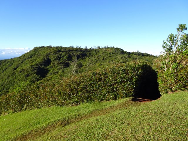 Avant de descendre vers la Plaine des Grègues, rejoindre la piste d'envol