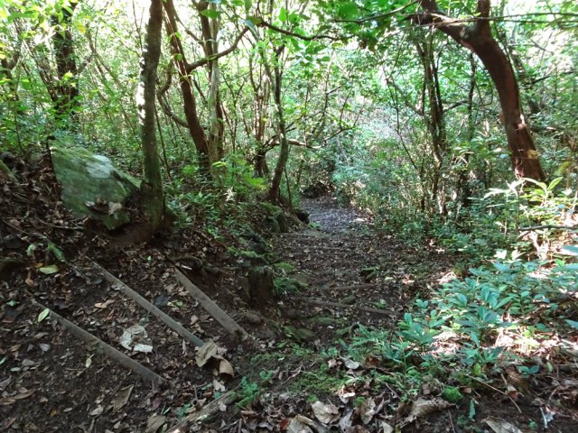 La pente de la cascade est une des plus difficiles de la région