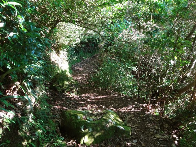 La seule portion plate lors de la descente