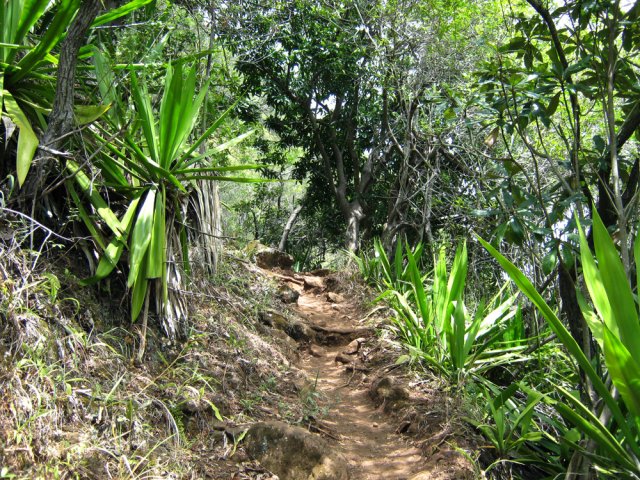 Le sentier est agréable malgré les nombreux lacets