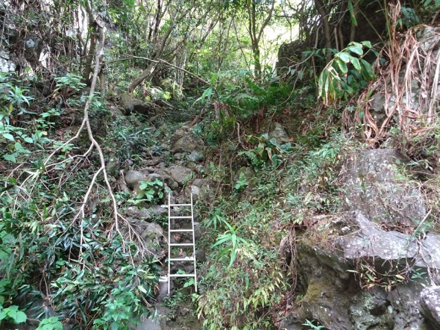 La petite échelle qui rejoint le fond de la ravine caillouteuse