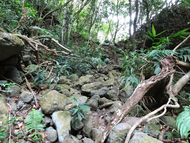 La remontée de la ravine est rapide