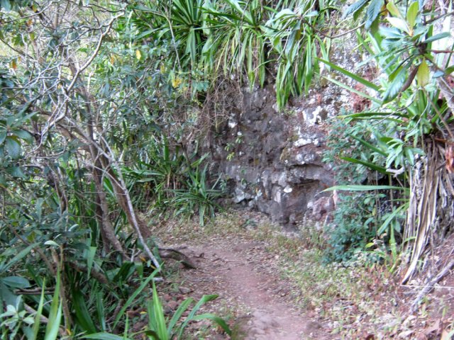 Une barre rocheuse comme souvent sur ces sentiers