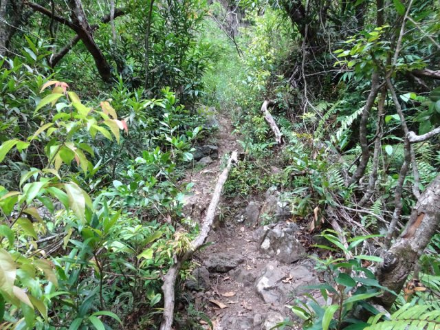 Montée assez raide sur un sentier bien visible