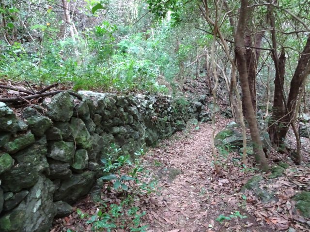 Plusieurs murets en pierres sèches rappellent que l'îlet fut exploité